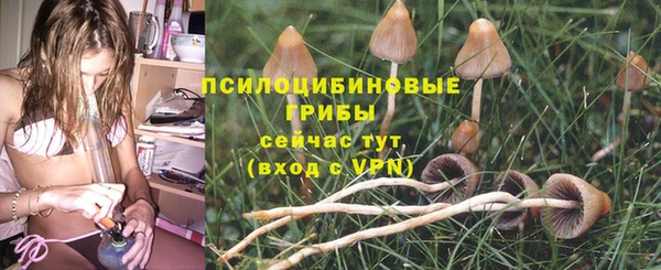 марки lsd Белокуриха