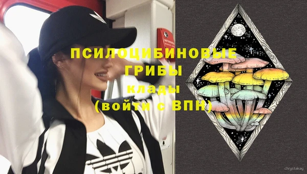 mdpv Балахна