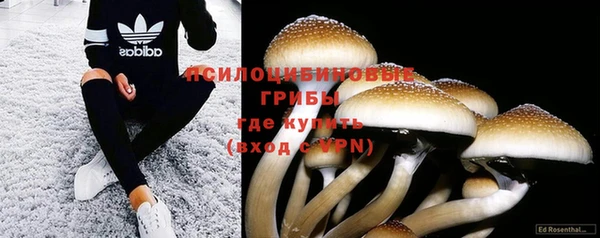 марки lsd Белокуриха