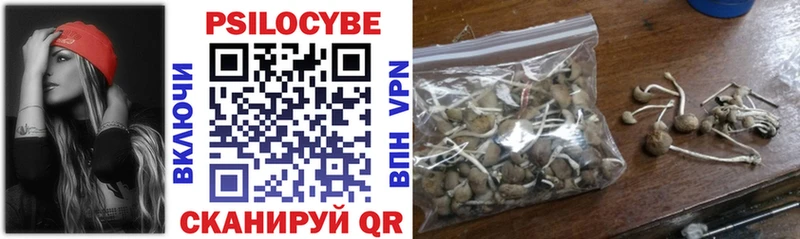 Псилоцибиновые грибы мухоморы  Няндома 
